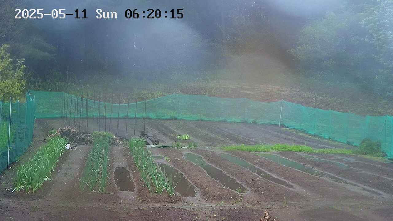 kannonmori-20250511062017.jpg