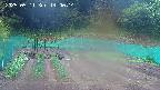 kannonmori-20250511140015.jpg