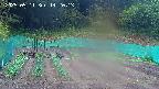 kannonmori-20250511142014.jpg