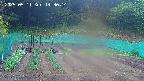 kannonmori-20250511143015.jpg