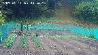 kannonmori-20250511145016.jpg