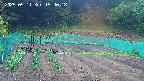 kannonmori-20250511154019.jpg