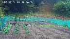 kannonmori-20250511160016.jpg