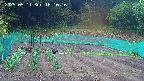 kannonmori-20250511161018.jpg