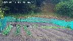 kannonmori-20250511163015.jpg