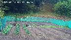 kannonmori-20250511173017.jpg