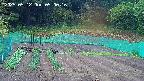 kannonmori-20250512050018.jpg