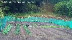 kannonmori-20250512051016.jpg