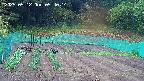 kannonmori-20250512054015.jpg