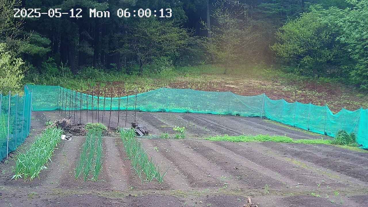 kannonmori-20250512060014.jpg
