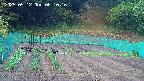 kannonmori-20250512061017.jpg