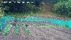 kannonmori-20250512065018.jpg