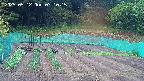 kannonmori-20250512071016.jpg