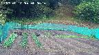 kannonmori-20250512080017.jpg