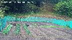 kannonmori-20250512082017.jpg
