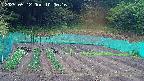 kannonmori-20250512100017.jpg