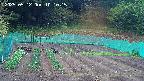 kannonmori-20250512101016.jpg