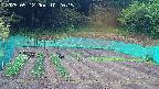kannonmori-20250512102017.jpg