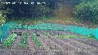 kannonmori-20250512104017.jpg