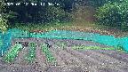 kannonmori-20250512110017.jpg