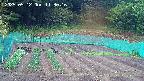 kannonmori-20250512113017.jpg