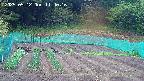 kannonmori-20250512114018.jpg