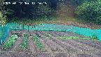 kannonmori-20250512121017.jpg