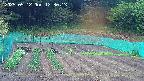 kannonmori-20250512123015.jpg