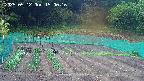 kannonmori-20250512150018.jpg