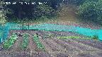 kannonmori-20250513074017.jpg