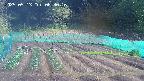 kannonmori-20250513083017.jpg