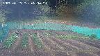 kannonmori-20250513090020.jpg