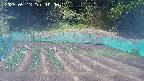 kannonmori-20250513100017.jpg