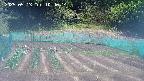 kannonmori-20250513104014.jpg