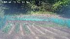kannonmori-20250513110017.jpg