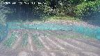 kannonmori-20250513114017.jpg