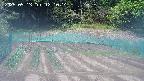 kannonmori-20250513121015.jpg