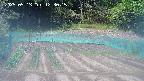 kannonmori-20250513123016.jpg