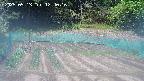kannonmori-20250513124016.jpg