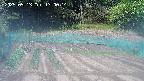 kannonmori-20250513130015.jpg