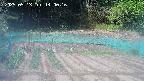 kannonmori-20250513140016.jpg