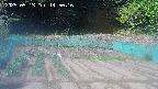 kannonmori-20250513145017.jpg