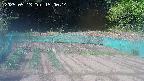 kannonmori-20250513150015.jpg