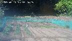 kannonmori-20250513152015.jpg
