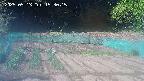 kannonmori-20250513153016.jpg