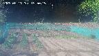 kannonmori-20250513155016.jpg