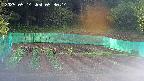 kannonmori-20250514053015.jpg