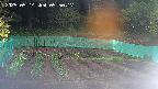 kannonmori-20250514055018.jpg