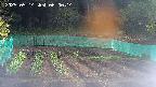 kannonmori-20250514060015.jpg