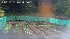 kannonmori-20250514061015.jpg